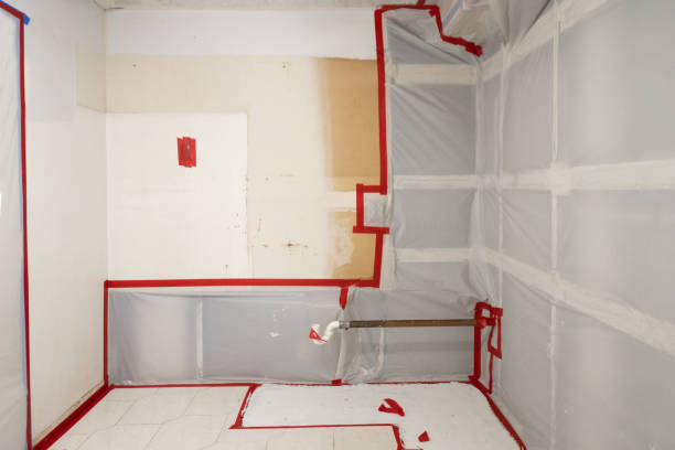 Environmental Consulting for Mold Prevention in Bessemer, MI
