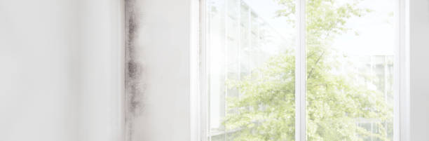 Best Asbestos and Lead Testing During Mold Inspection  in Bessemer, MI