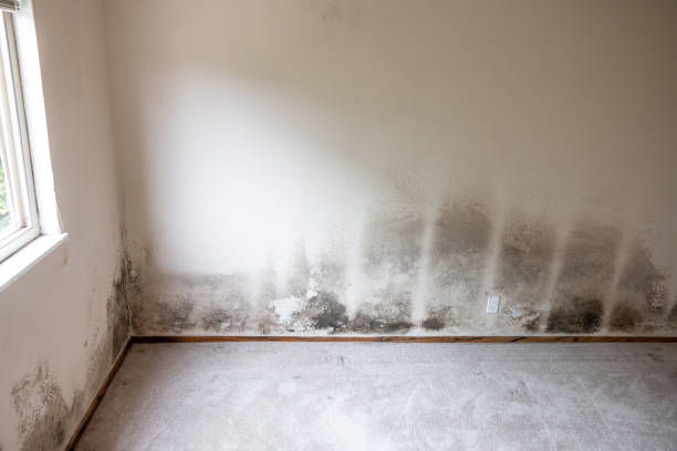 Best Air Quality Testing for Mold Spores  in Bessemer, MI